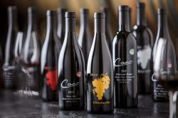 Carr Vineyards & Winery
