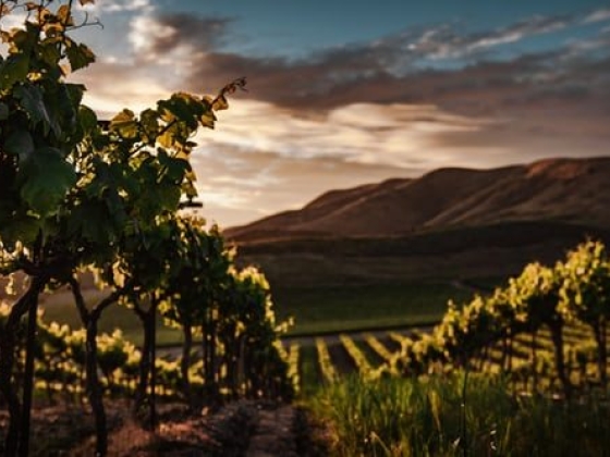 Inland Valley Wineries